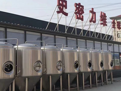 浦东精酿啤酒设备厂—市场规模与跨界新需求